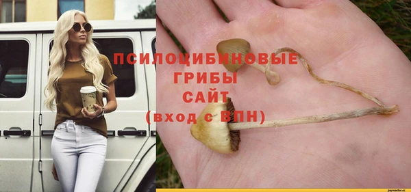 2c-b Алзамай