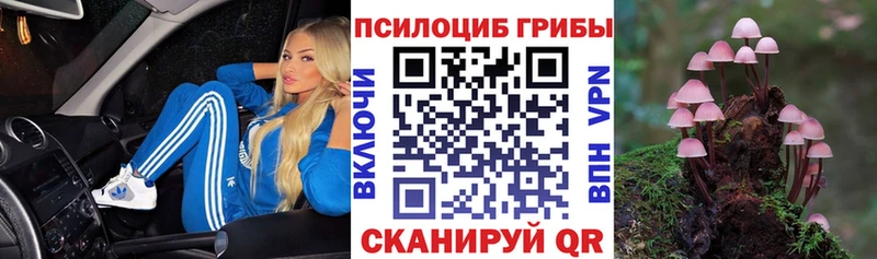 Псилоцибиновые грибы Psilocybine cubensis площадка как зайти Кострома блэк спрут зеркало