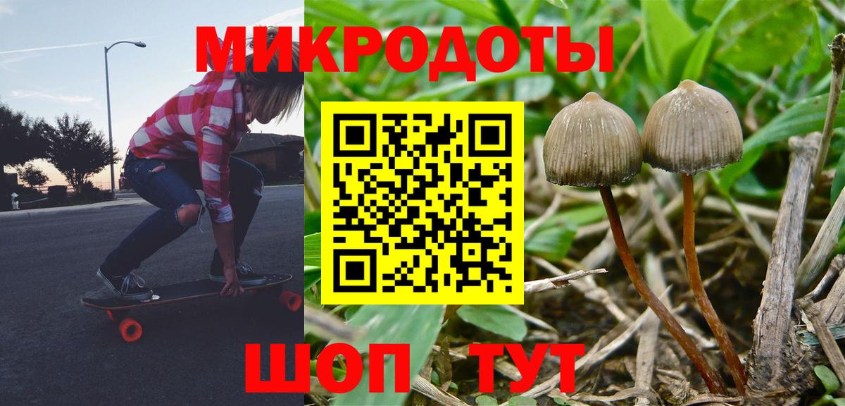 Кострома  Псилоцибиновые грибы Psilocybine cubensis  Галлюциногенные грибы прущие грибы  Вход с VPN 